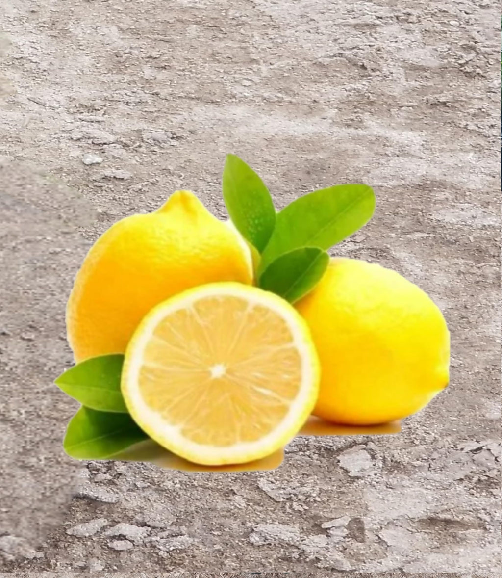 Live Meyer Lemon Tree,Grow a Delicious Fruit Bearing Bonsai Tree - Ships 3 to 4 feet Tall